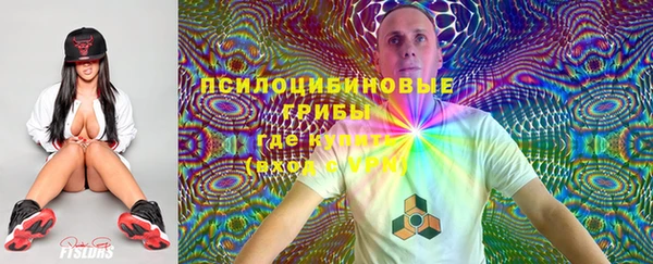 jwh Белокуриха