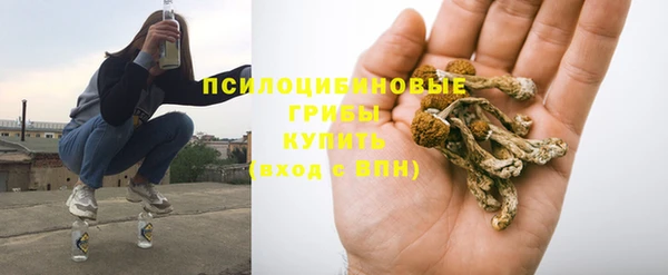 амф Белоозёрский