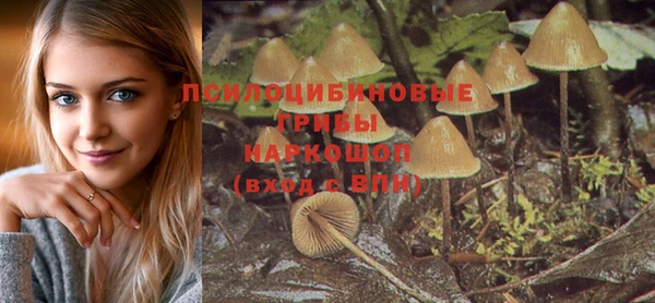 амф Белоозёрский