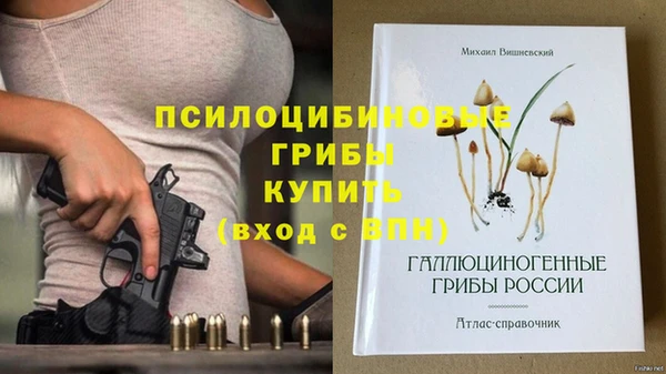 амф Белоозёрский