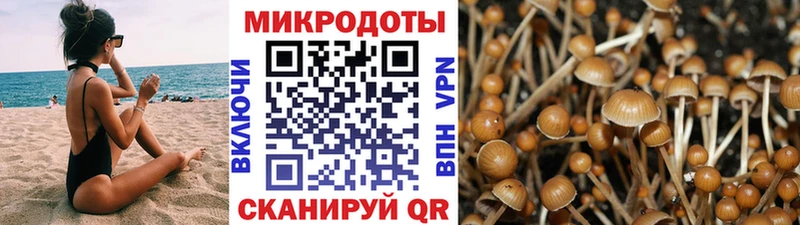 ссылка на мегу рабочий сайт  Горно-Алтайск  Псилоцибиновые грибы прущие грибы 