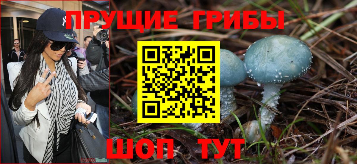 наркошоп  Галлюциногенные грибы Psilocybe  Псилоцибиновые грибы Psilocybine cubensis  Вход с VPN  Горно-Алтайск 