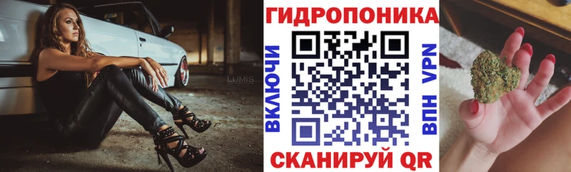 Шишки марихуана индика  Горно-Алтайск 